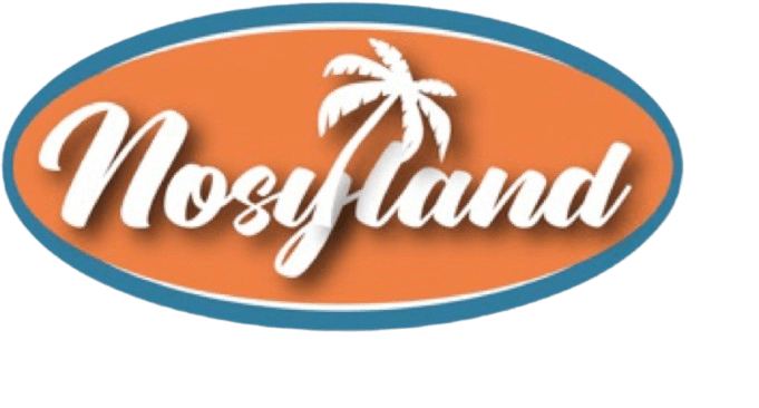 NosyLand